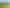 3 Clover Lane, Kamo