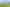 3 Clover Lane, Kamo