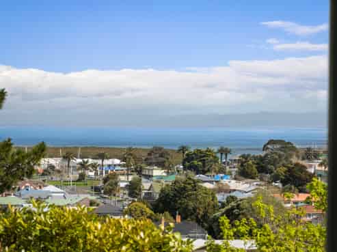 101 Oakley Crescent, Thames