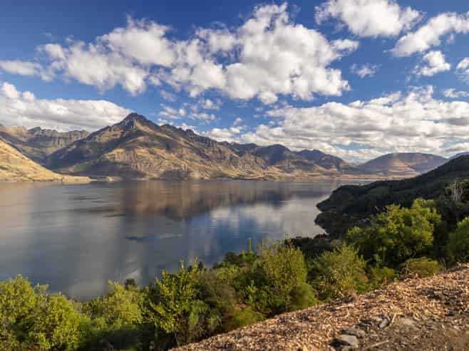 12 Forestlines Rise, Queenstown