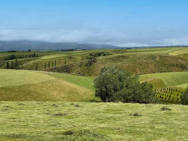 446 Skinner Road, Puketi