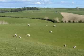 446 Skinner Road, Puketi