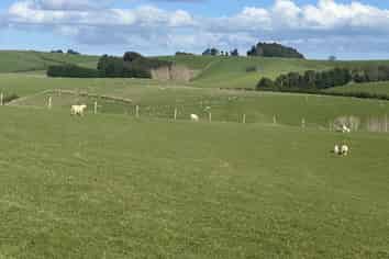 446 Skinner Road, Puketi