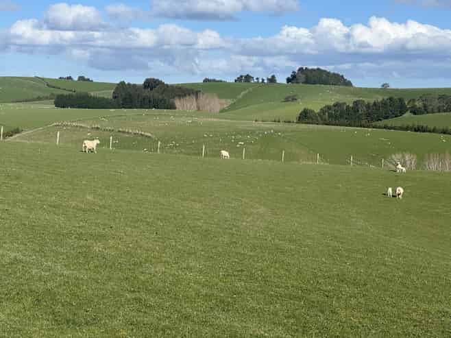 446 Skinner Road, Puketi