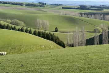 446 Skinner Road, Puketi