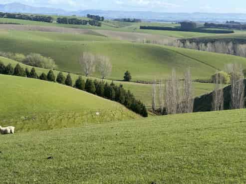 446 Skinner Road, Waitahuna