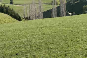 446 Skinner Road, Puketi