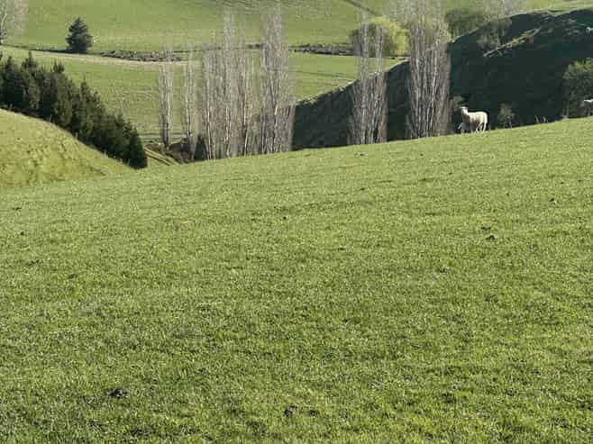 446 Skinner Road, Puketi