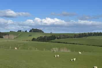 446 Skinner Road, Puketi