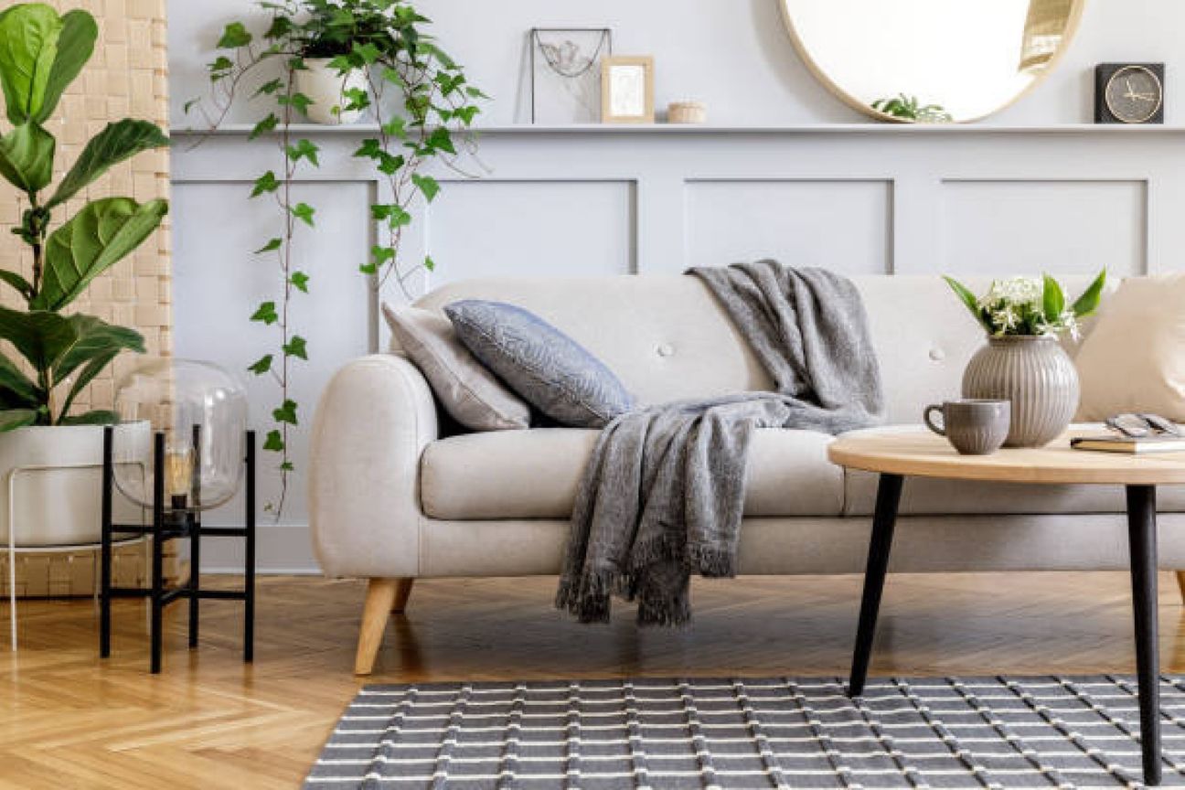 Leading Auckland Staging and Interiors Company - Bild 2