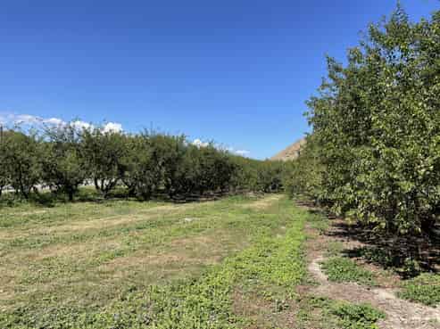 4.0541ha, 0 Ettrick-Raes Junction Road, Millers Flat