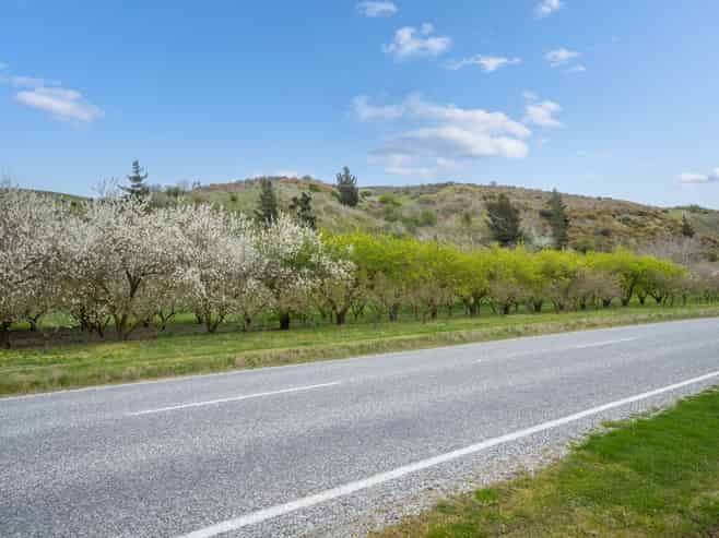 4.0541ha, 0 Ettrick-Raes Junction Road, Millers Flat