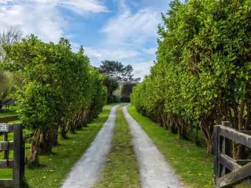 21 Glenn Street, Castlecliff