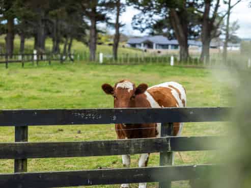 21 Glenn Street, Castlecliff