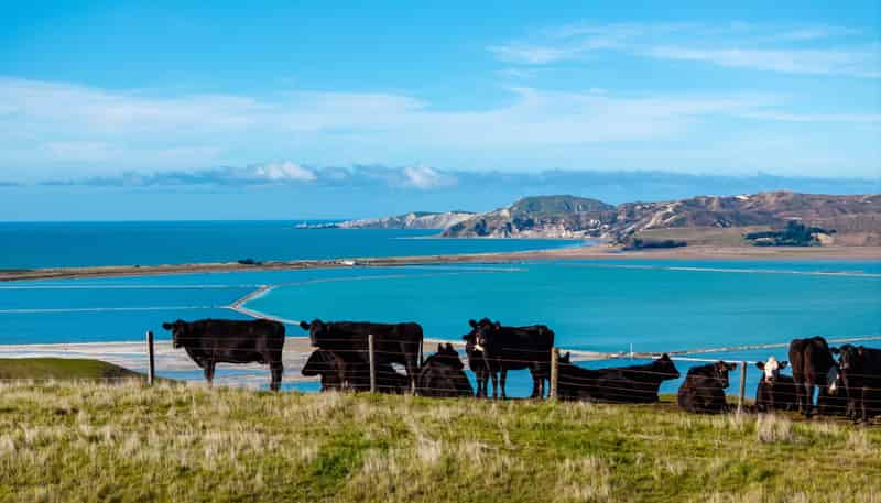 60 Merrifields Road, Blind River