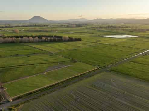 71 Edgecumbe Soldiers Road, Edgecumbe