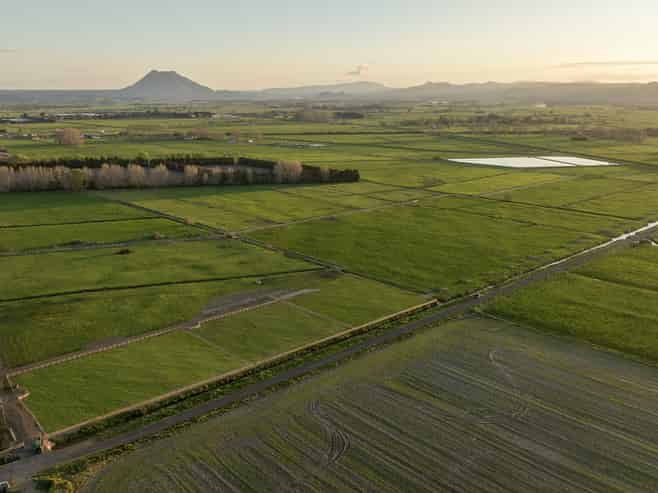 71 Edgecumbe Soldiers Road, Edgecumbe