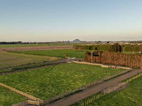 71 Edgecumbe Soldiers Road, Edgecumbe