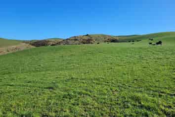 150 Macaulay Road, Awamoko