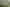 118 Cottle Road, Taupaki