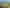 118 Cottle Road, Taupaki