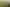 118 Cottle Road, Taupaki