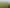118 Cottle Road, Taupaki
