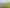 118 Cottle Road, Taupaki