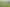 118 Cottle Road, Taupaki