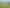 118 Cottle Road, Taupaki