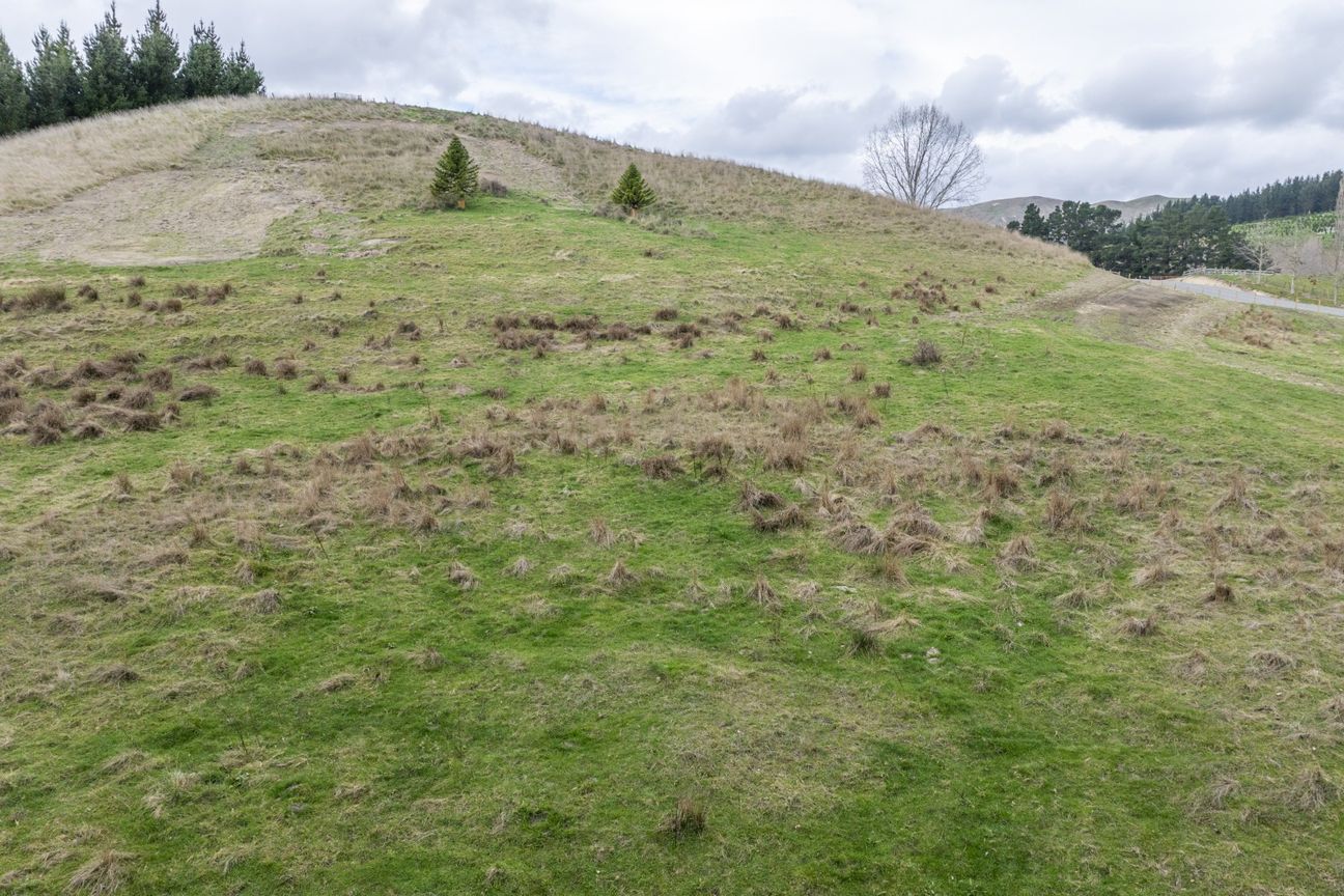 Two cracker Kahuranaki sections - Więcej