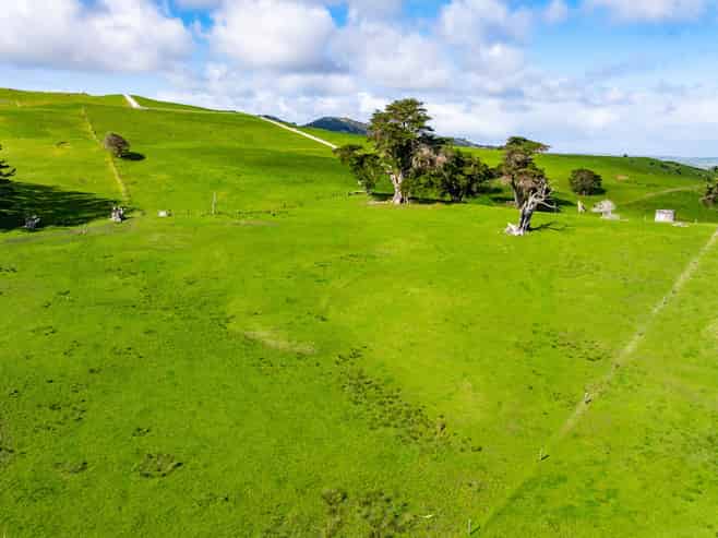  Sills Road, Dargaville