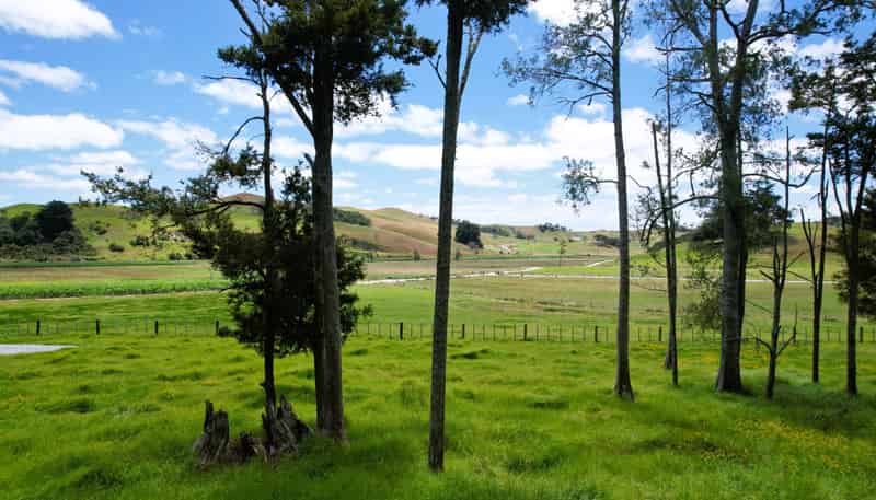 35 Sills Road, Dargaville