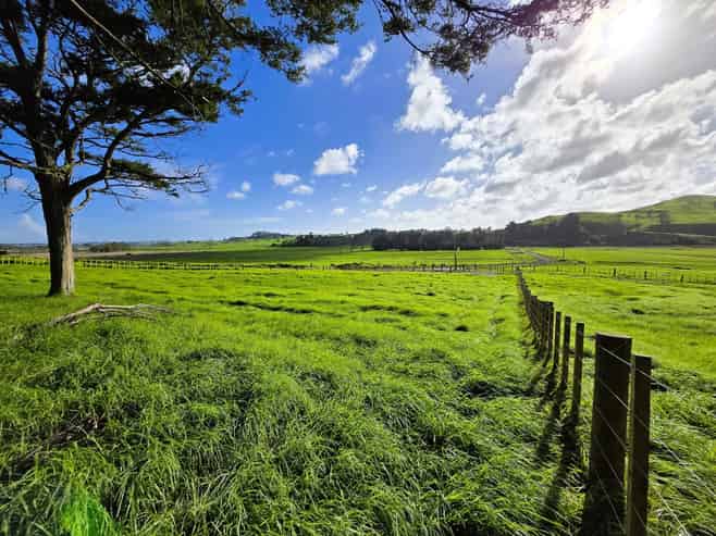 Lot 3 Sills Road, Dargaville
