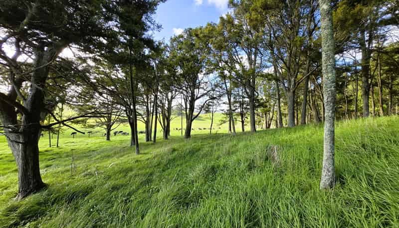 35 Sills Road, Dargaville