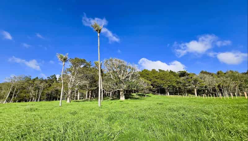 35 Sills Road, Dargaville