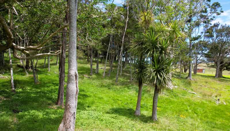 35 Sills Road, Dargaville