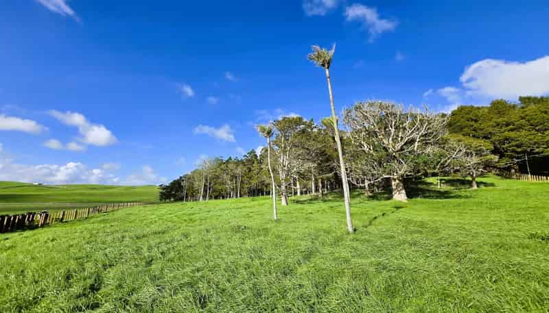35 Sills Road, Dargaville
