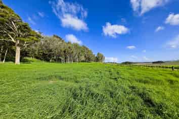 Lot 3 Sills Road, Dargaville