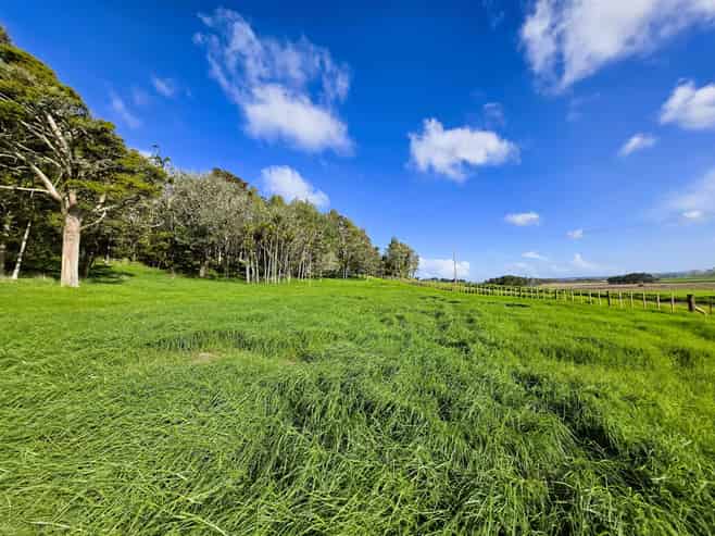 Lot 3 Sills Road, Dargaville