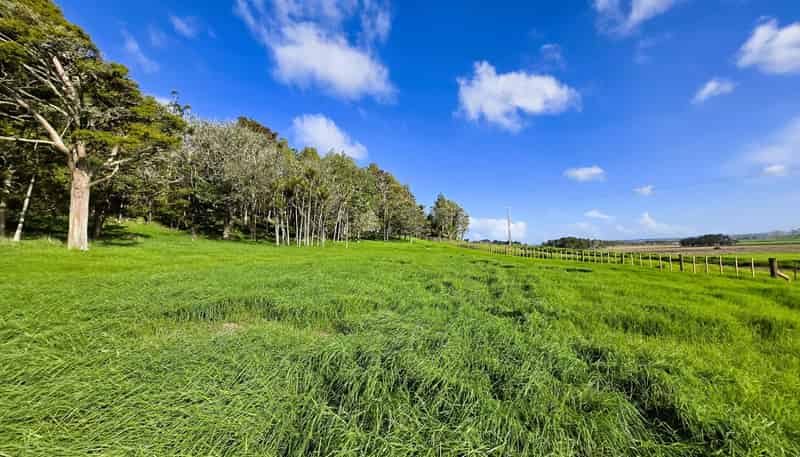 35 Sills Road, Dargaville
