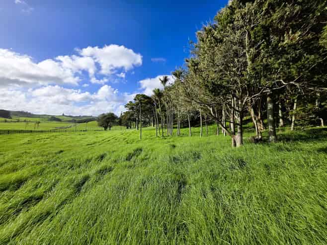 Lot 3 Sills Road, Dargaville