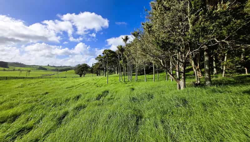 35 Sills Road, Dargaville