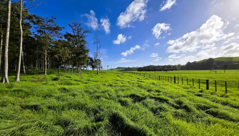 35 Sills Road, Dargaville