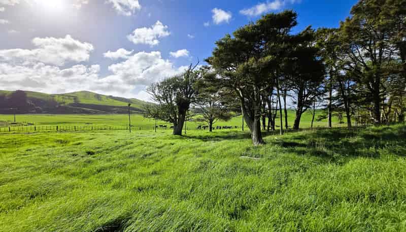 35 Sills Road, Dargaville