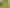 Lot 3 Sills Road, Dargaville