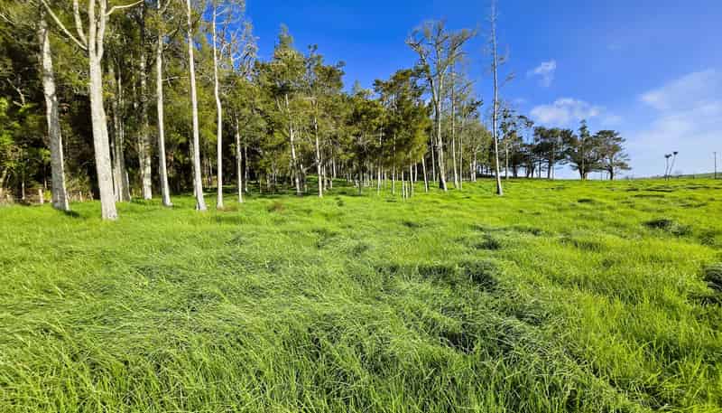 35 Sills Road, Dargaville