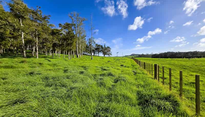 35 Sills Road, Dargaville