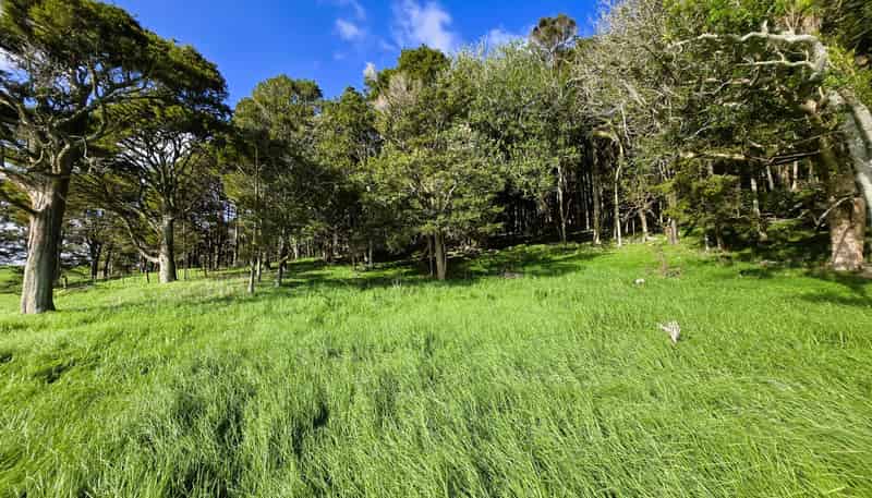 35 Sills Road, Dargaville