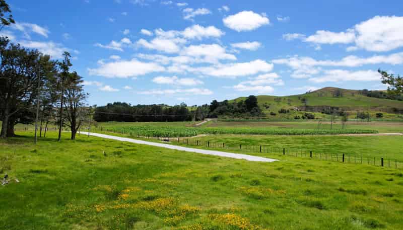 35 Sills Road, Dargaville